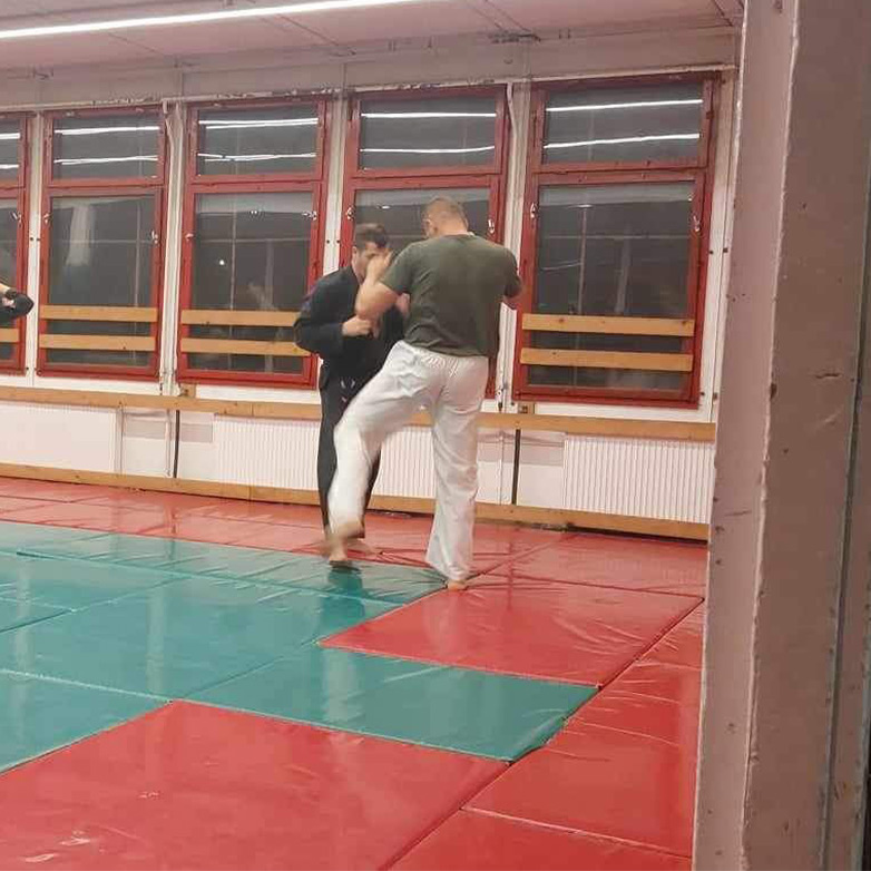 Küzdősport bemutató